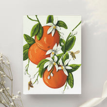Load image into Gallery viewer, Art Print - Orange Delight - Orange Art - Orange Blossoms - Bee Art