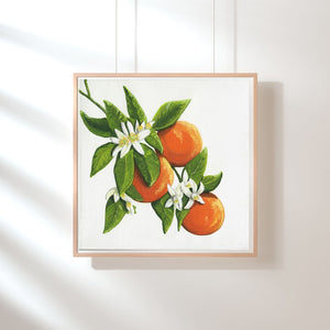 Fresh Blossoms - Art Print - Orange Art - Orange Blossoms - Oranges