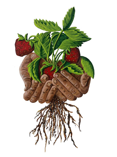 Art Print - Farmer's Hands