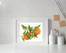 Load image into Gallery viewer, Citrus Sparkle - Art Print - Orange Art - Orange Blossoms - Oranges