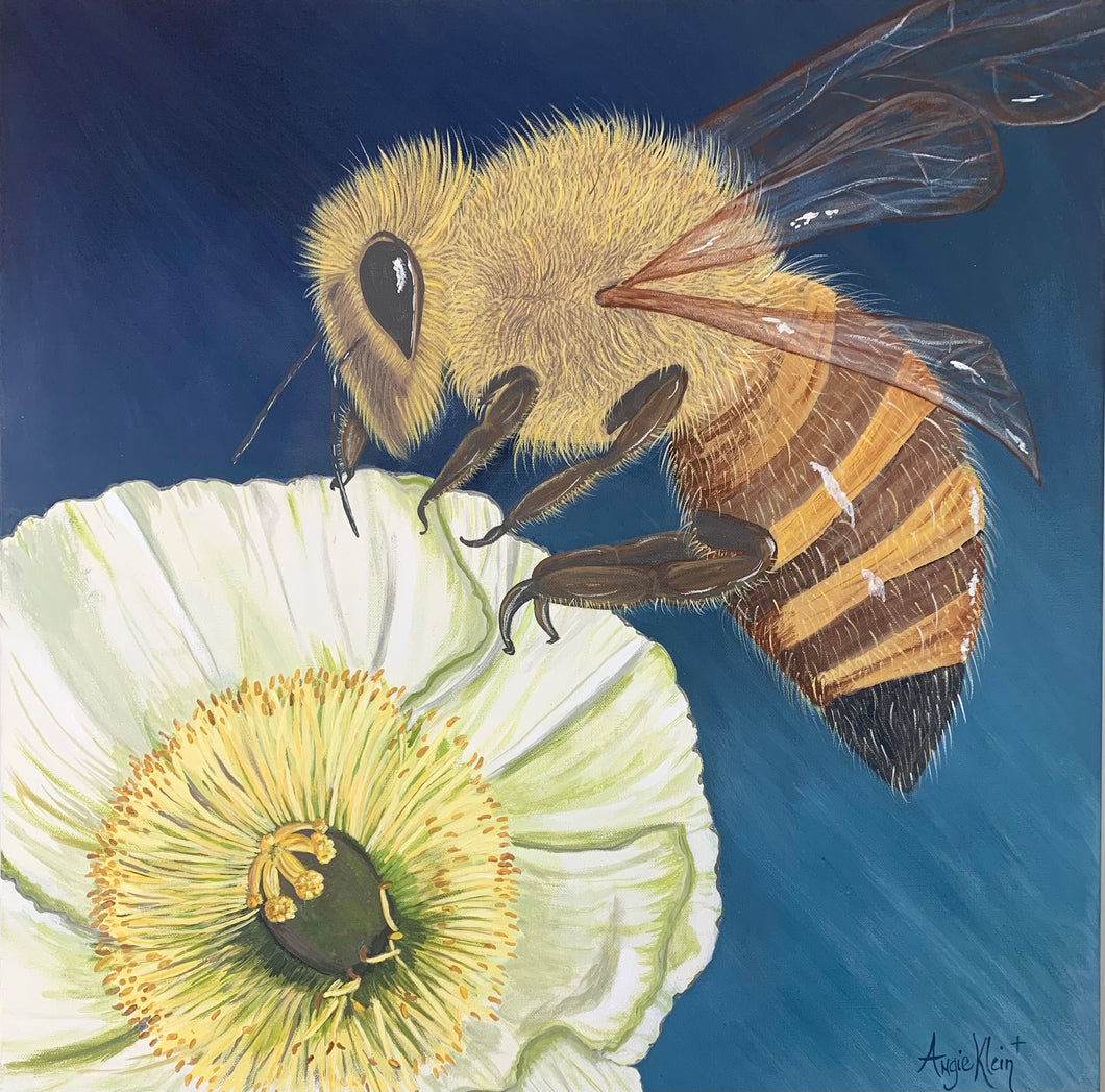 Midnight Bee