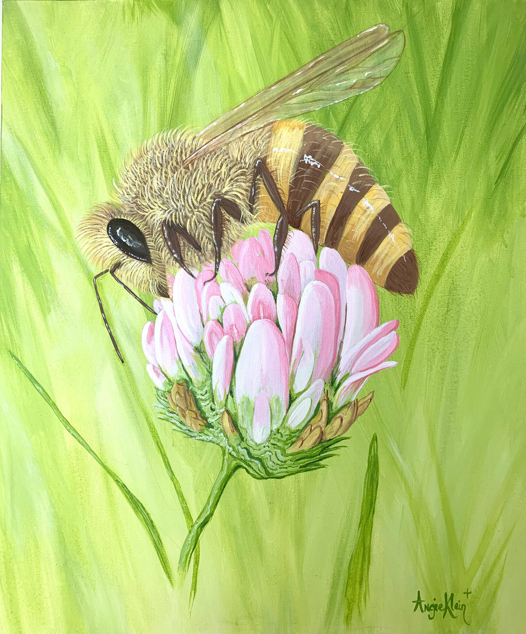 The Bee and Clover
