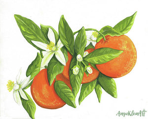 Art Print - Citrus Sparkle