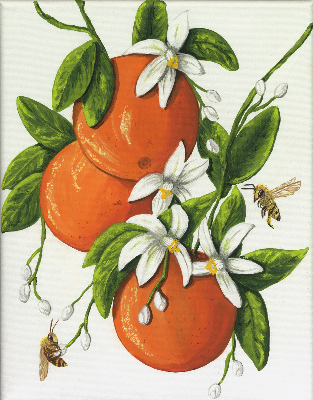 Orange Delight - Original Art